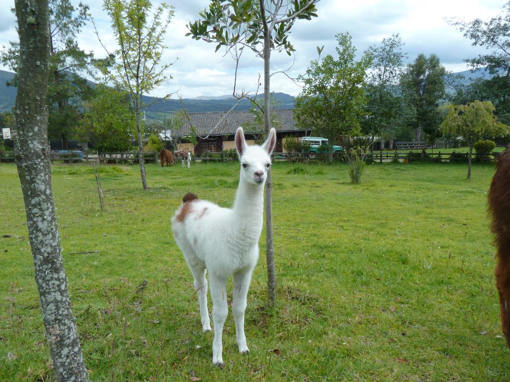 Hacienda Hosteria San Luis Cayambe Exterior foto